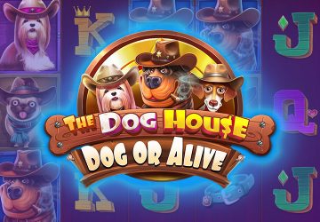 Playtech - игровой автомат онлайн от Various с RTP 95.5%